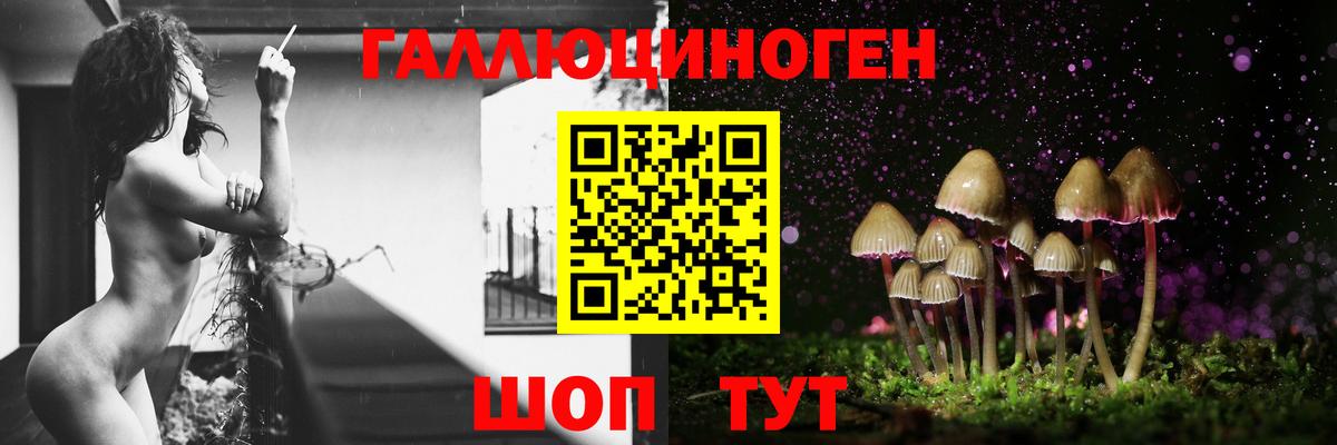Псилоцибиновые грибы Magic Shrooms  Галлюциногенные грибы Magic Shrooms  Кушва  Вход с VPN 